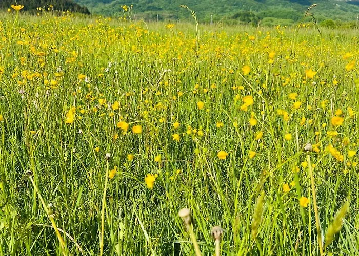 Appartamento L'oasi D'abruzzo